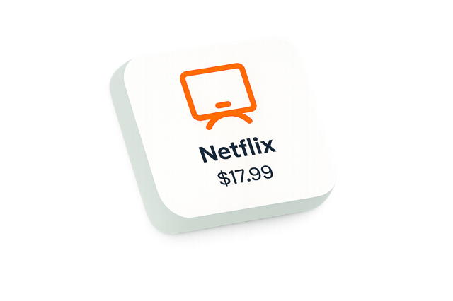 Netflix subscription tracked in ExpensePal